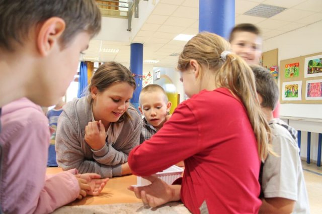 Kisállat bemutató