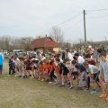 Körzeti mezei futó diákolimpia