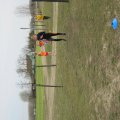 Körzeti mezei futó diákolimpia