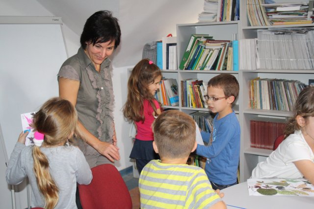 Nagy Rajzolás