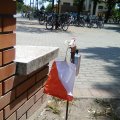 Diákolimpia mezei futás